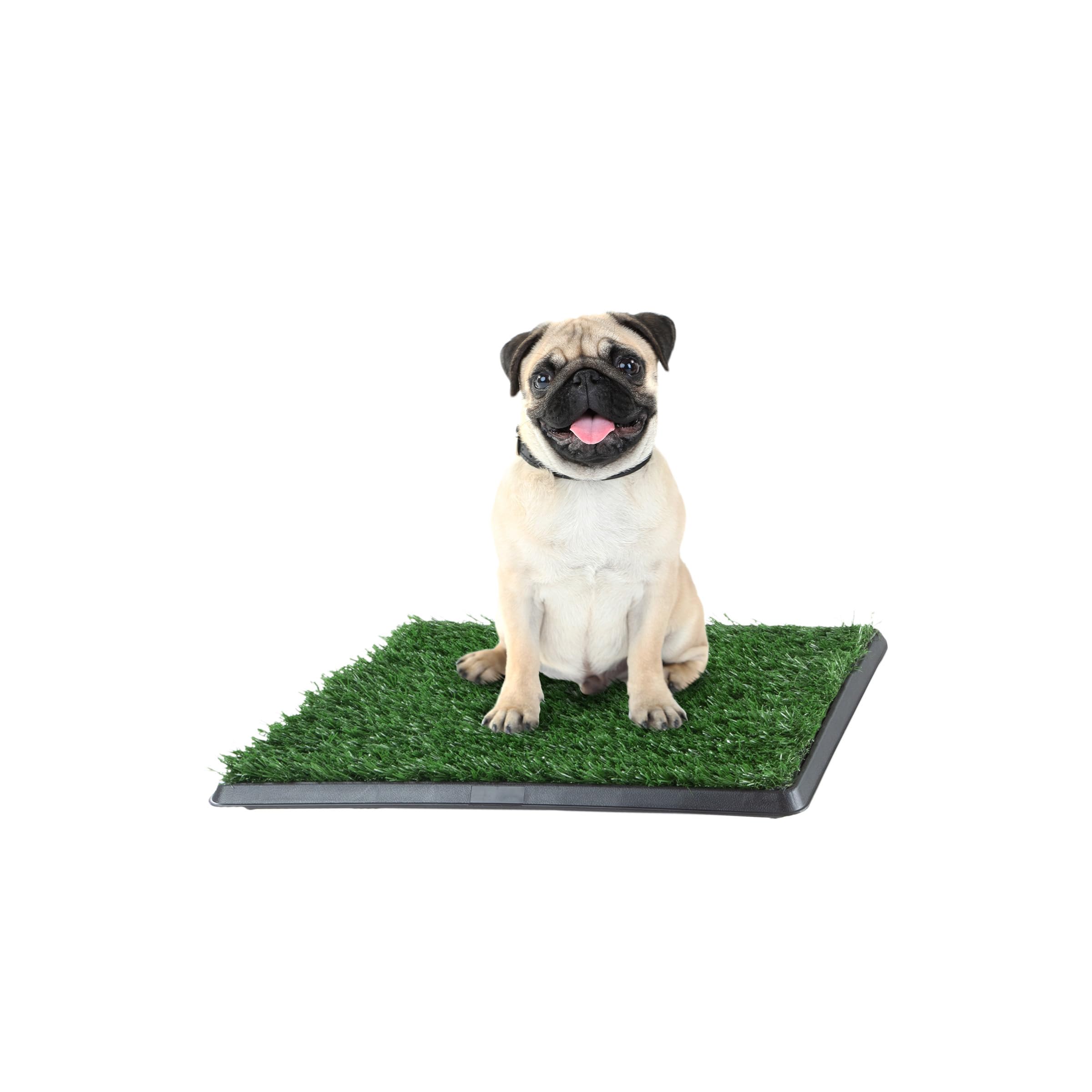 PETMAKER vue avant du tapis herbe synthétique, surface propre et pratique