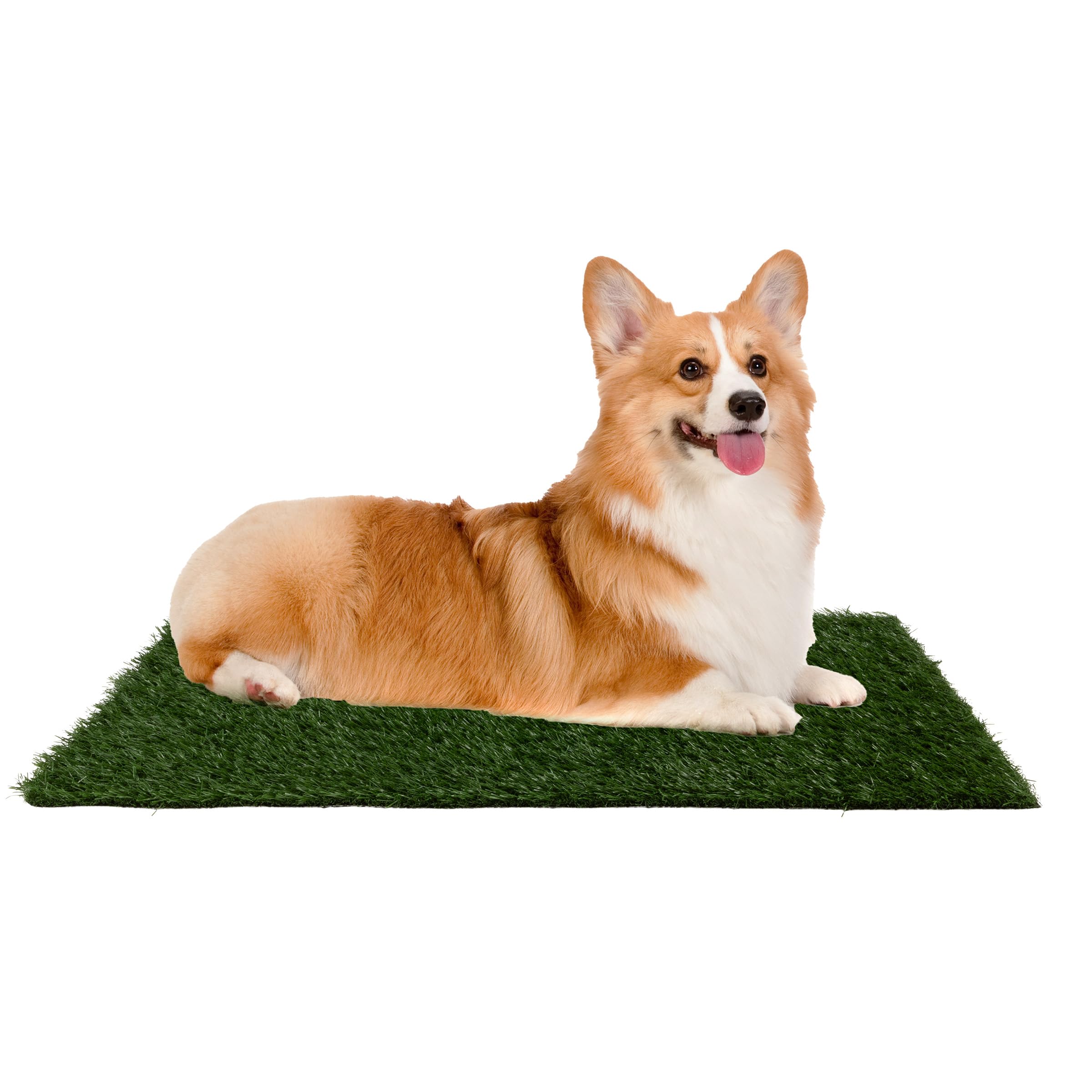 PETMAKER vue avant du tapis herbe pour propreté, facilite l'entraînement