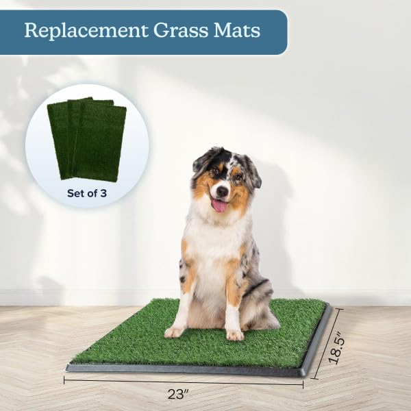 PETMAKER gros plan sur texture gazon synthétique attrayante pour chiots