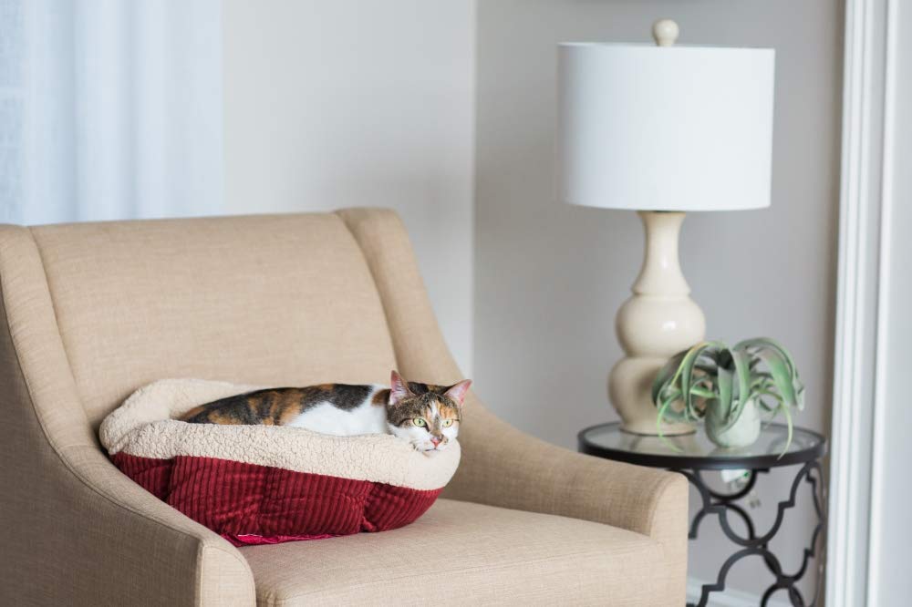 Petmate Aspen gros plan sur fausse laine d'agneau, douceur et chaleur