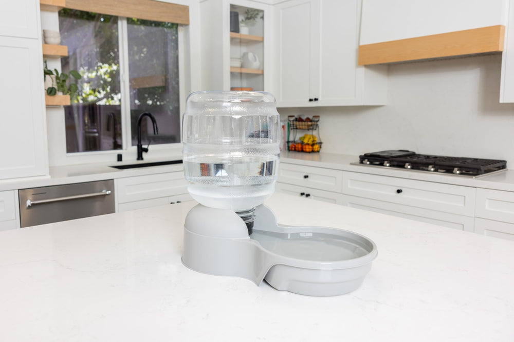 Petmate Aspen Pet en usage avec un chat montrant accès facile à l'eau