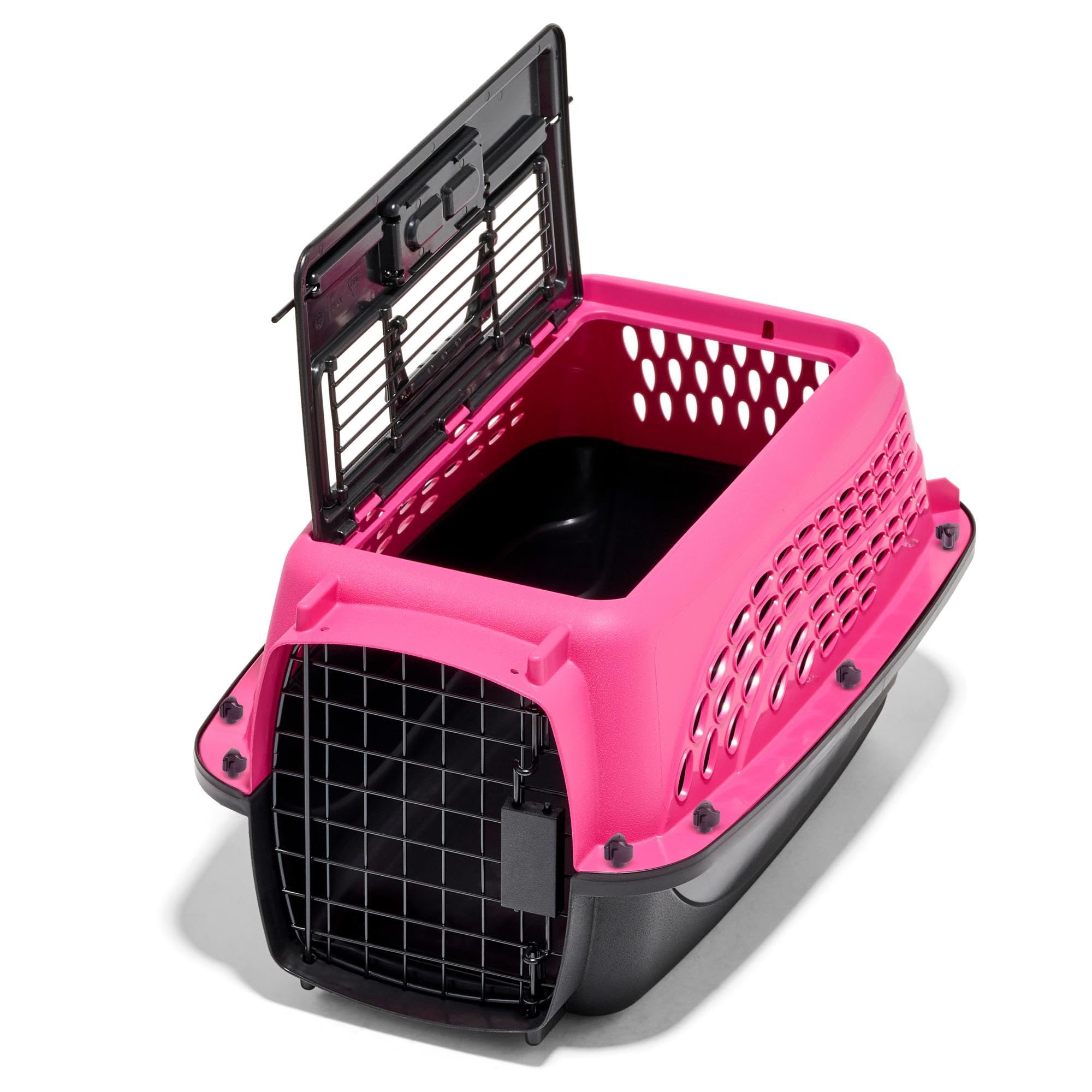 Petmate comparaison d'échelle avec petit chien montrant l'ajustement idéal