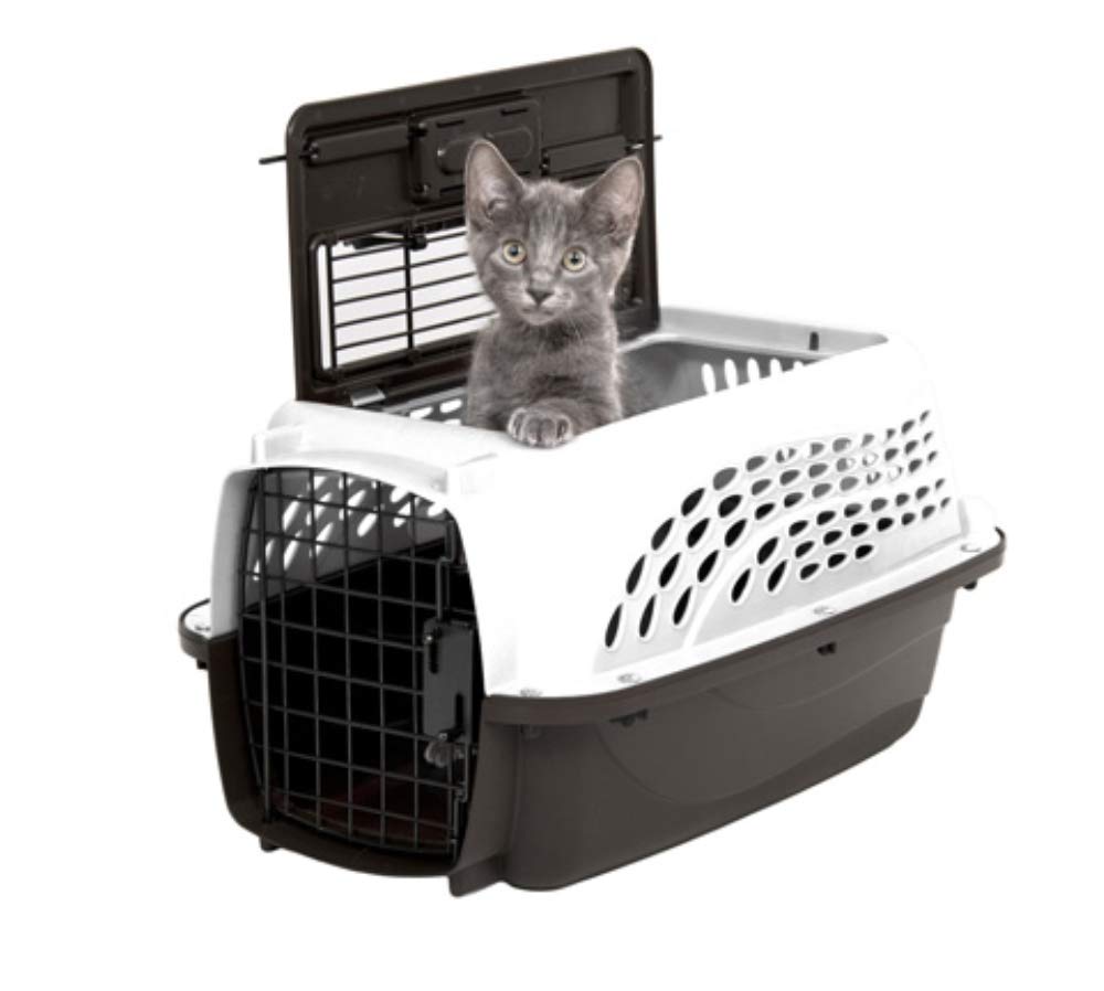 Petmate intérieur avec coussin montrant système stay-dry et confort