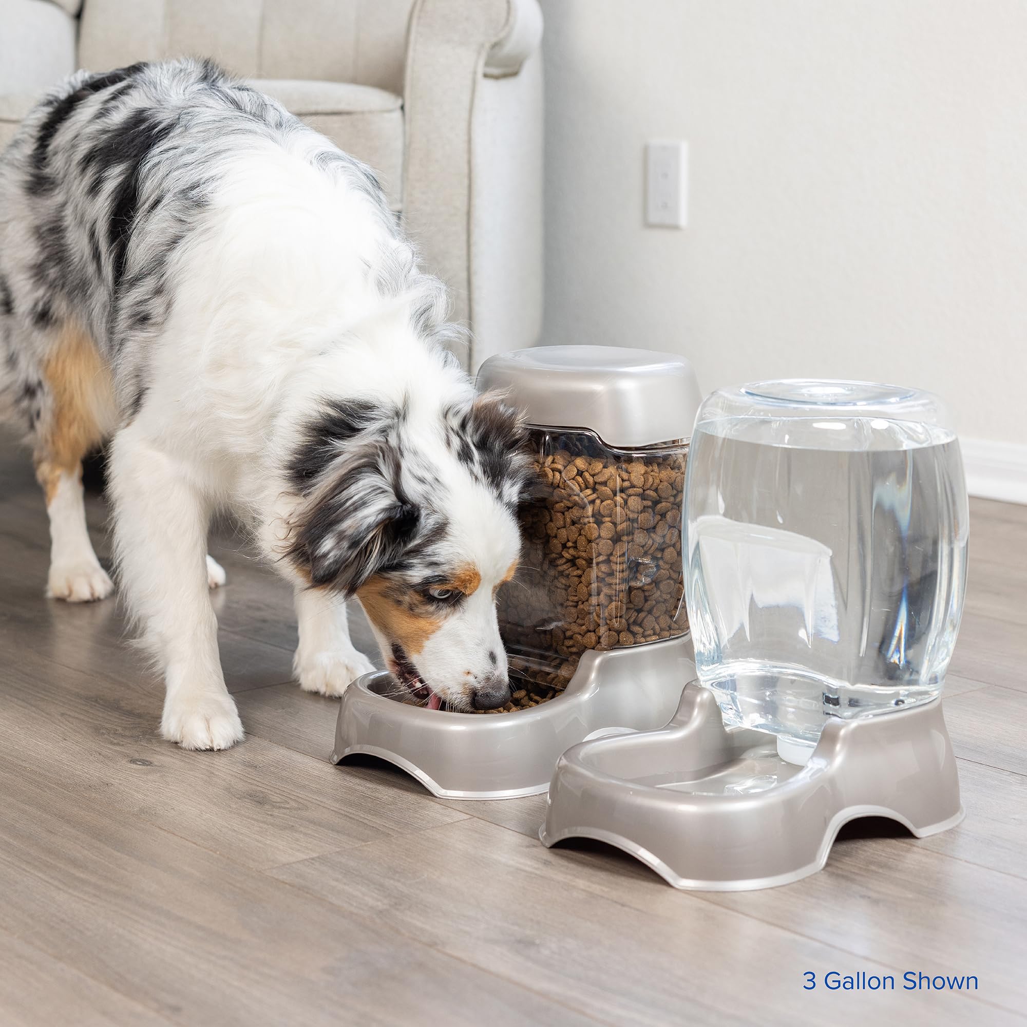 Petmate vue de dessus révélant niveau d'eau stable par gravité pour hydratation continue