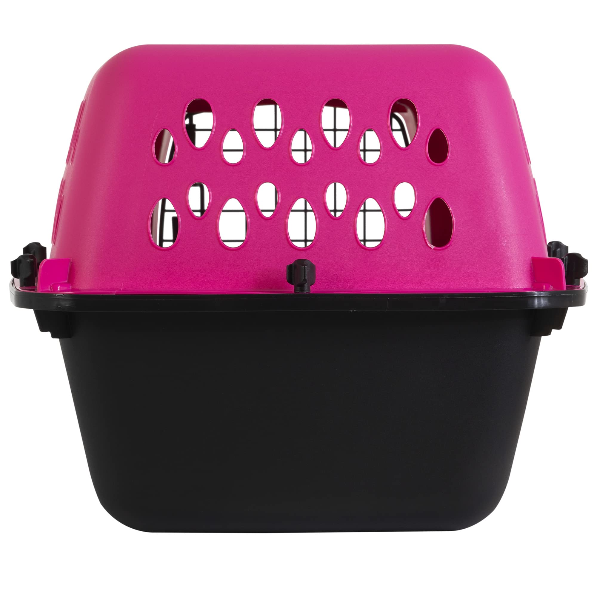 Petmate Pet Porter en usage dans coffre de voiture pour voyage sûr