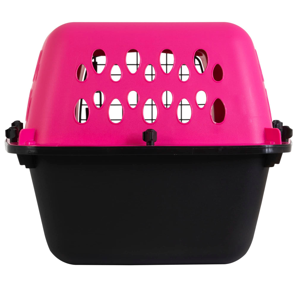 Petmate Pet Porter en usage dans coffre de voiture pour voyage sûr