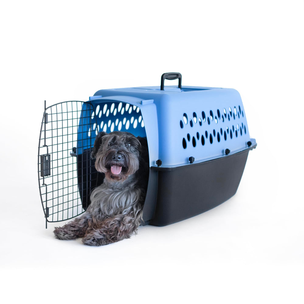 Petmate coin ventilé montrant aération sur quatre côtés pour flux d'air