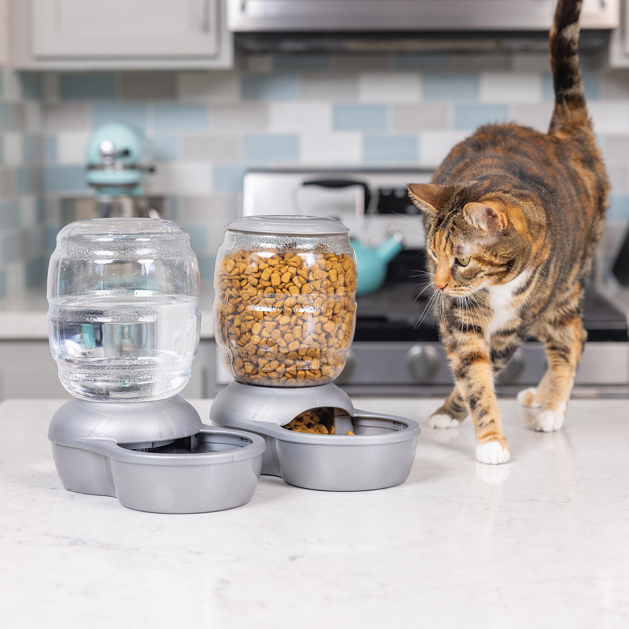 Petmate Replendish comparaison échelle avec main pour dimensions et capacité