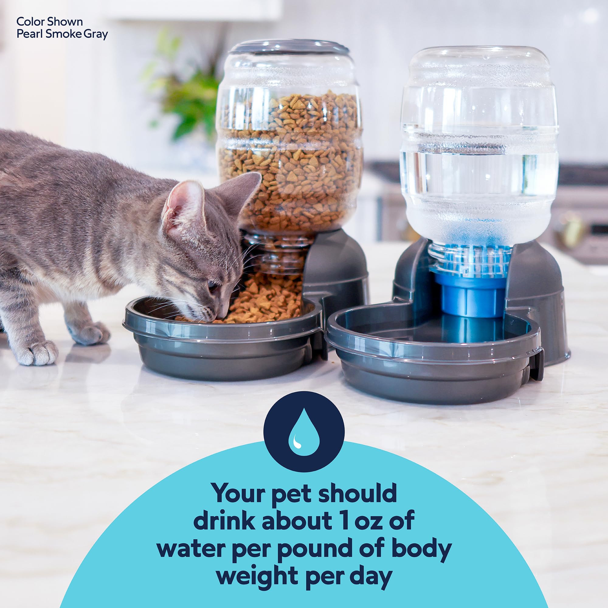 Petmate Replendish petit chien utilisant l'eau automatiquement régulée