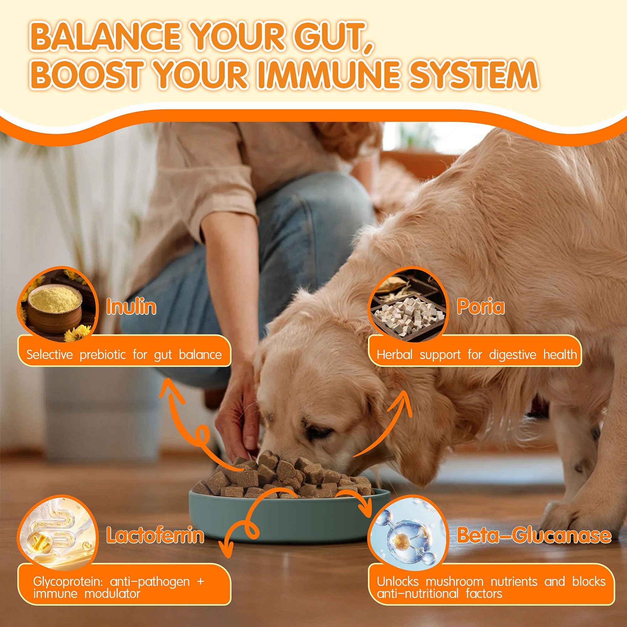 PETNANNY assortiment de champignons utilisés pour soutien immunitaire