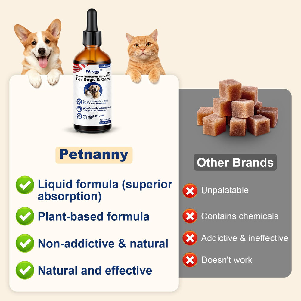 Petnanny produit à côté d’un chien heureux montrant confort retrouvé
