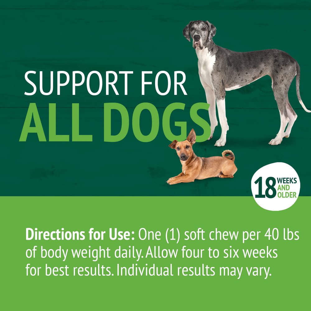 PetNC chien adulte prenant chew favorise supplémentation quotidienne