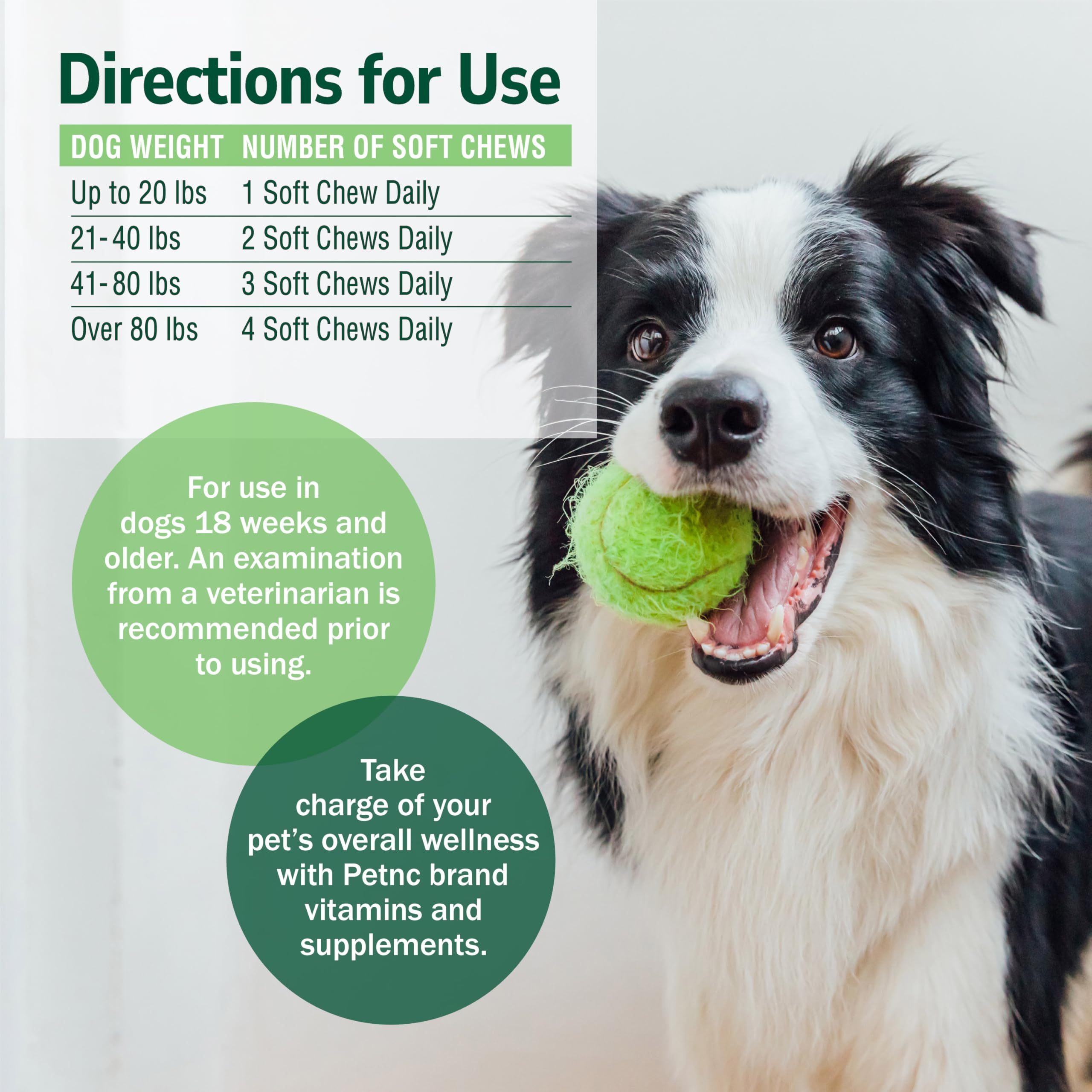 PetNC Natural Care chien prenant la friandise, acceptation élevée et plaisir