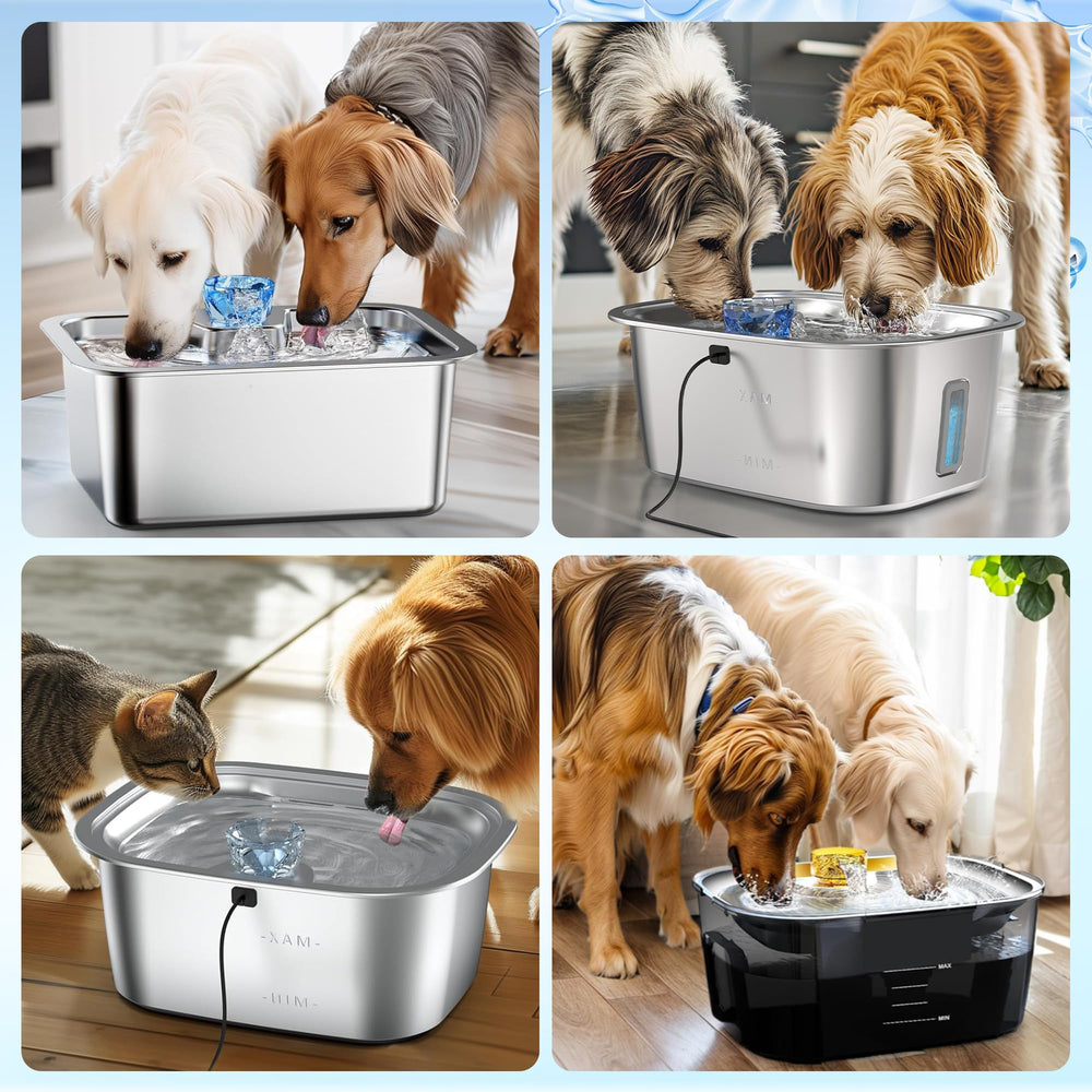 PETNF fontaine à eau en cuisine avec filtre installé pour eau fraîche quotidienne