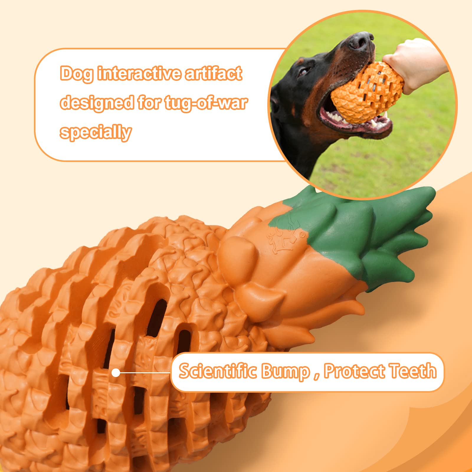 PETOPIA ananas à l'échelle montrant dimensions adaptées chiens moyens