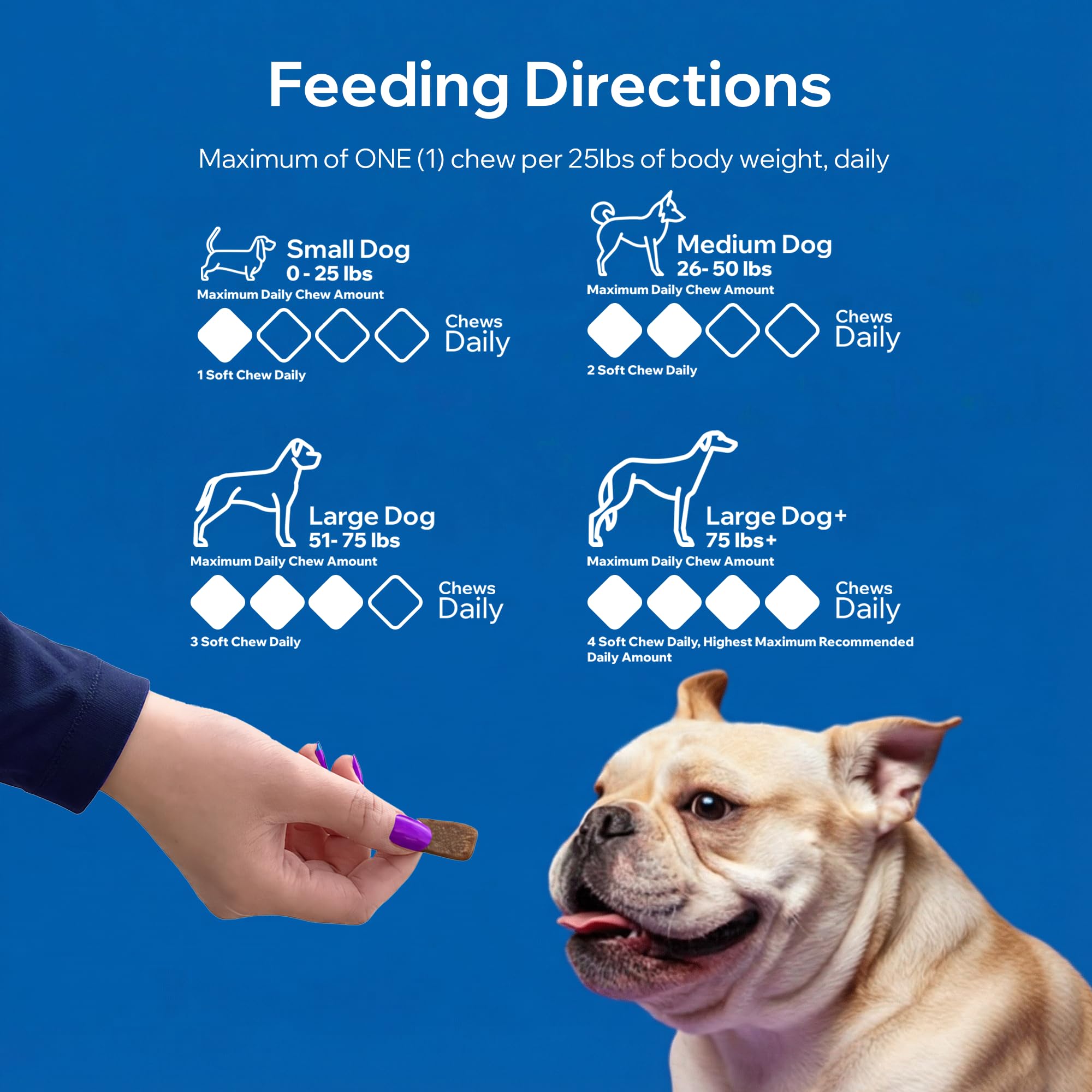 PETOPTIMUM chiot reçoit croquette, adapté pour tous âges