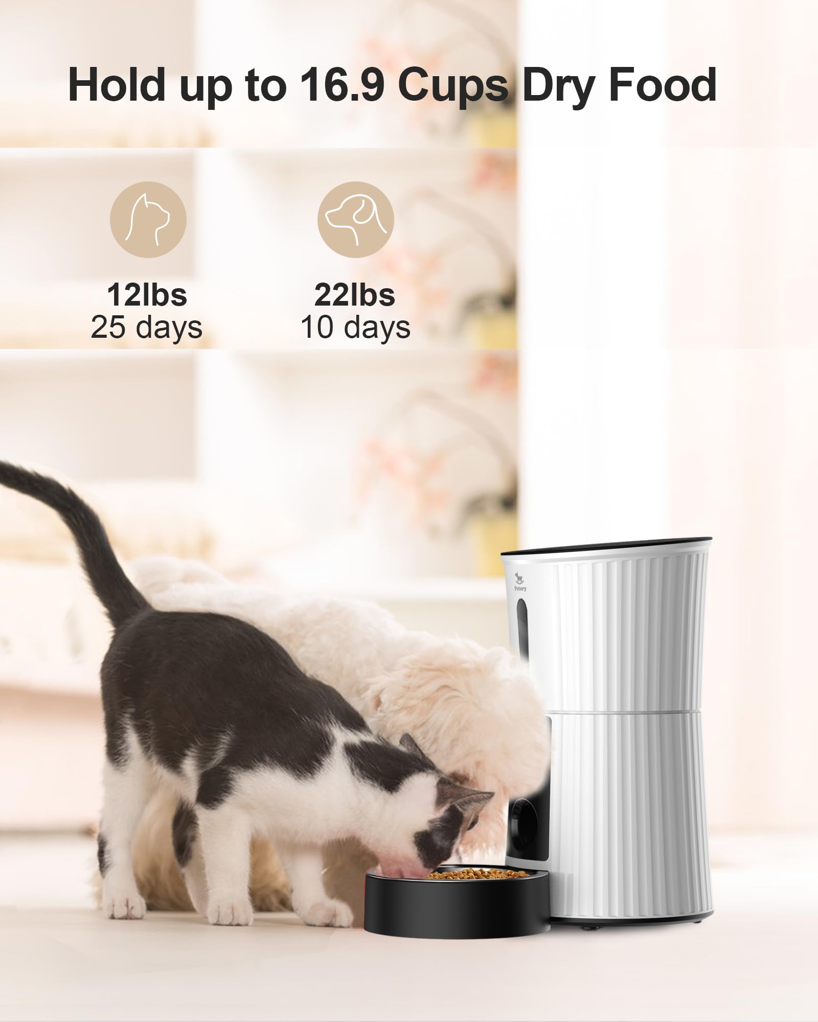 Petory comparaison taille main montrant capacité 4L et encombrement réduit