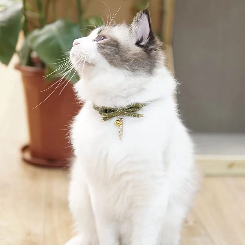 PetSoKoo collier porté sur chat illustrant ajustement et légèreté