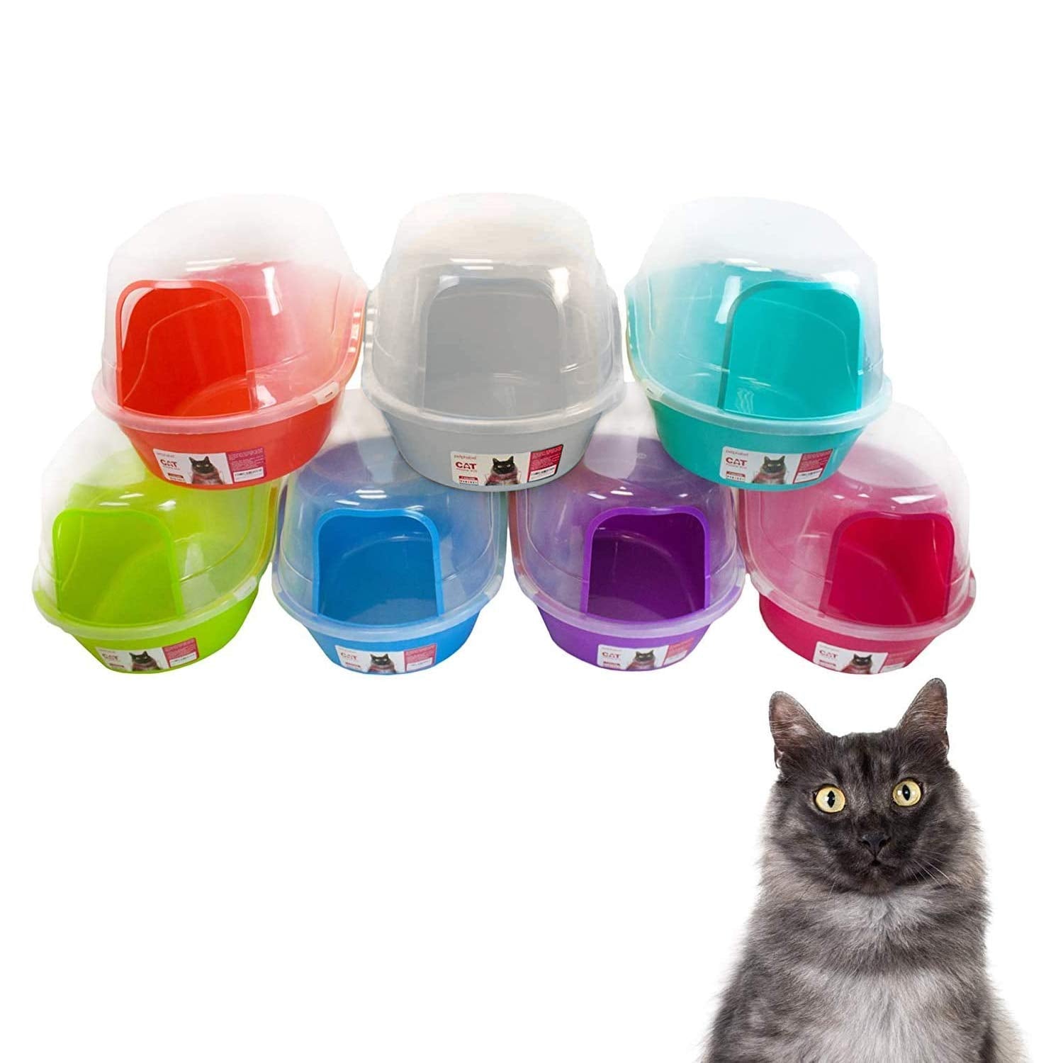 petphabet bord surlevé limite projections et garde sol propre