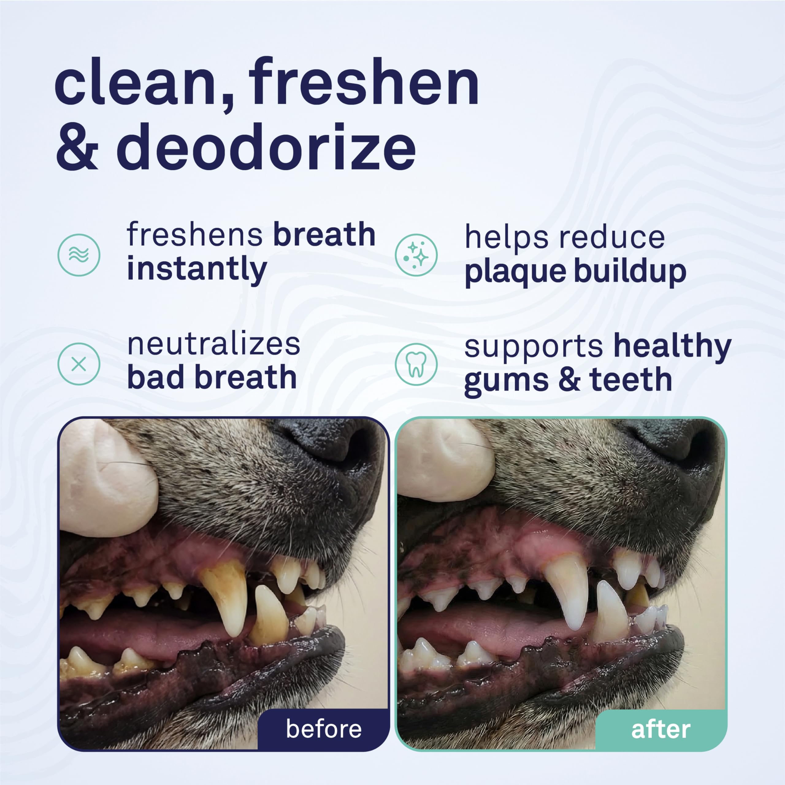 Petpost bouteille côté illustrant le design compact et prise en main facile