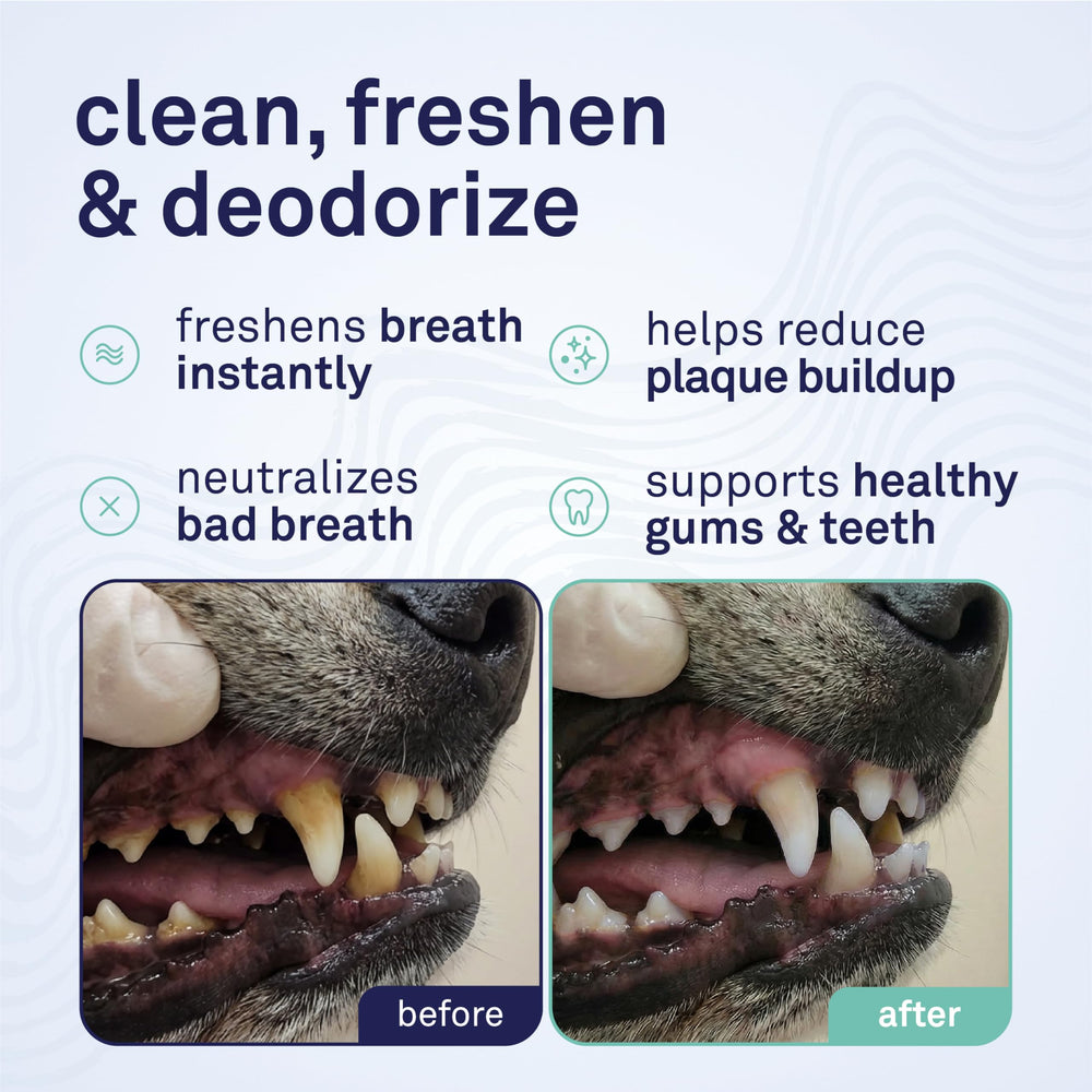 Petpost bouteille côté illustrant le design compact et prise en main facile