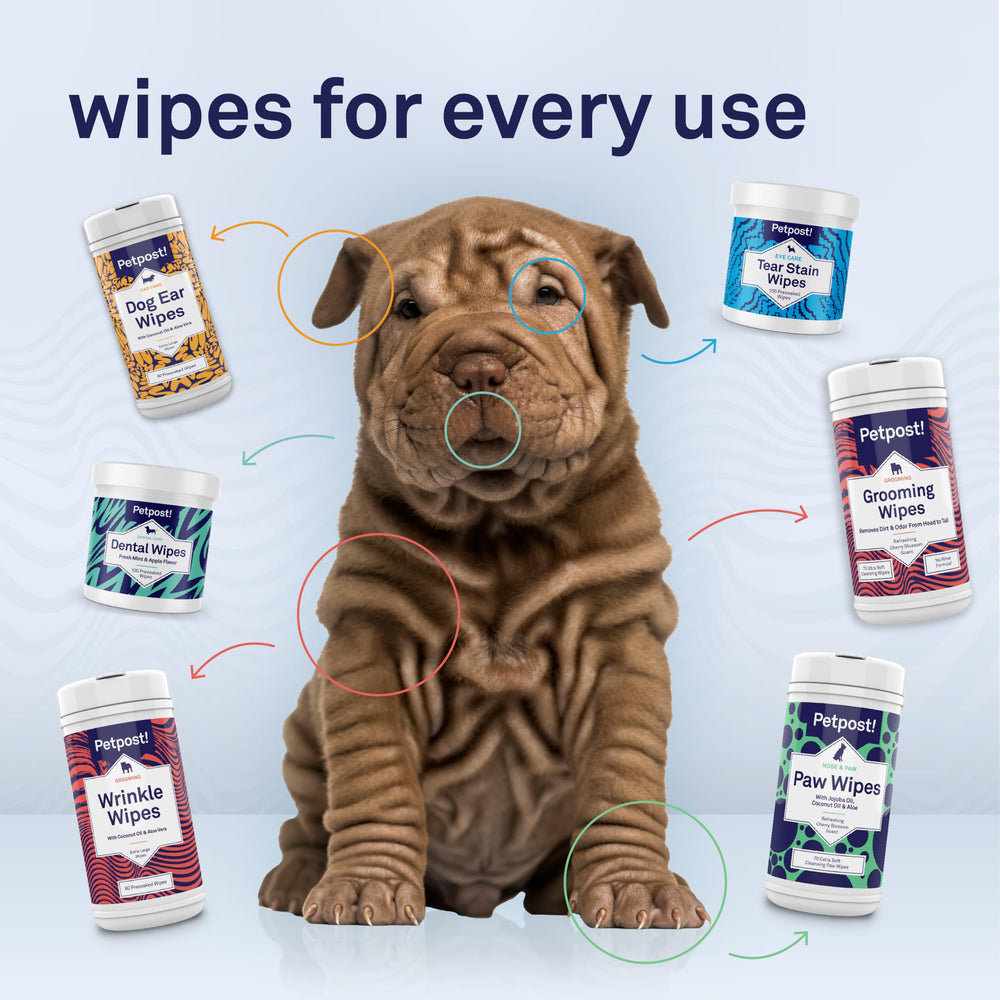 Petpost scène salon montrant lingettes pratiques dans routine quotidienne