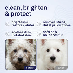 Petpost texture mousse close-up nettoie doucement et hydrate