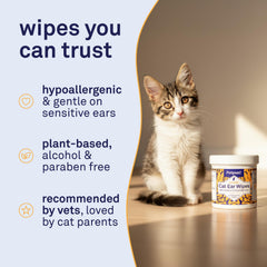 Petpost utilisation par un propriétaire nettoyant l'oreille d'un chat facilement