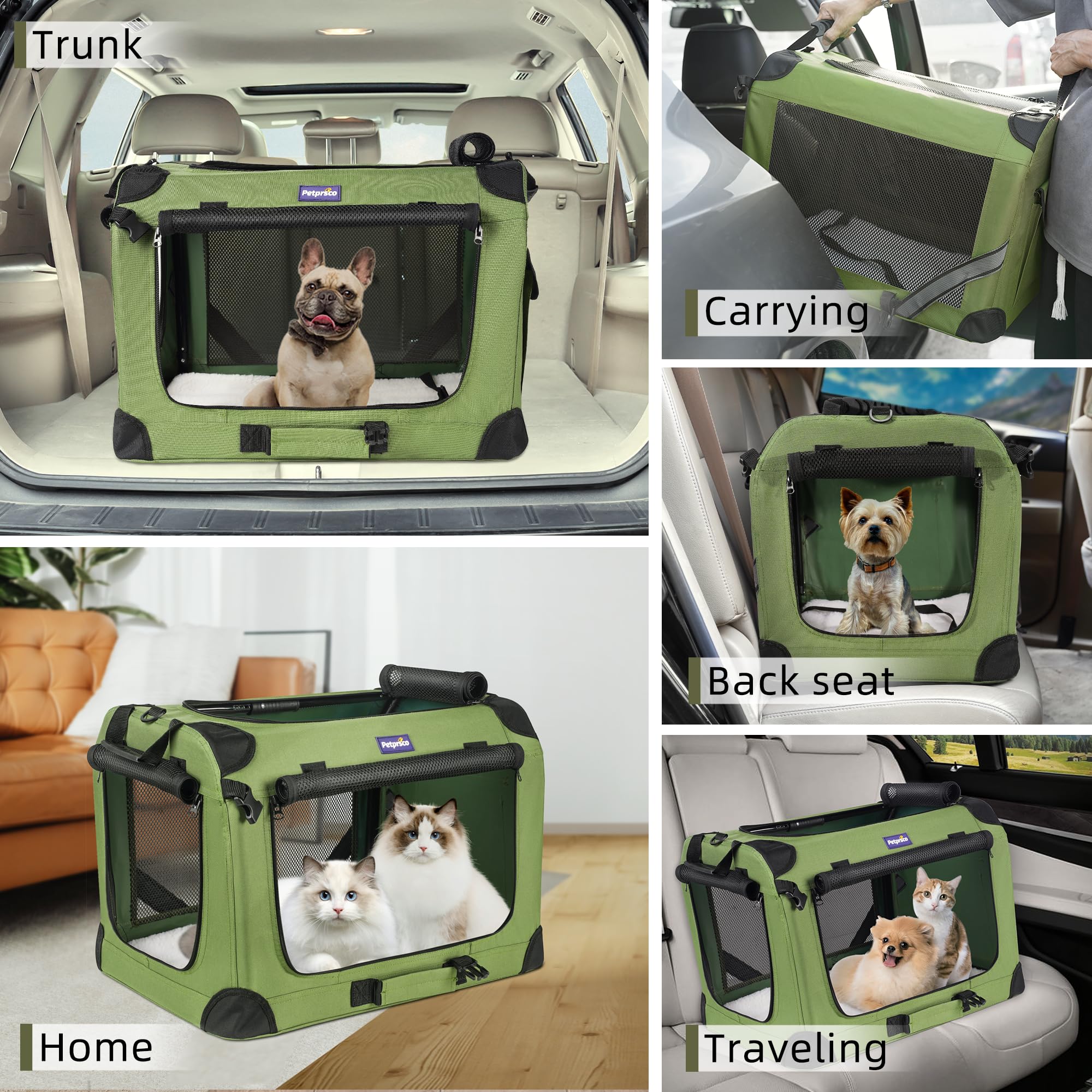 Petprsco transporteur installé dans coffre montrant compatibilité voiture
