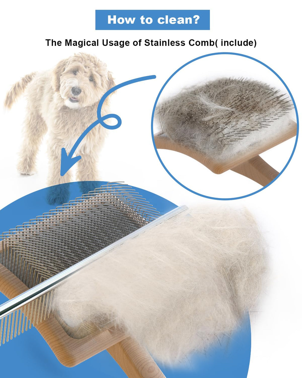 Petqueen brosse utilisée sur goldendoodle réduisant nœuds et bourres