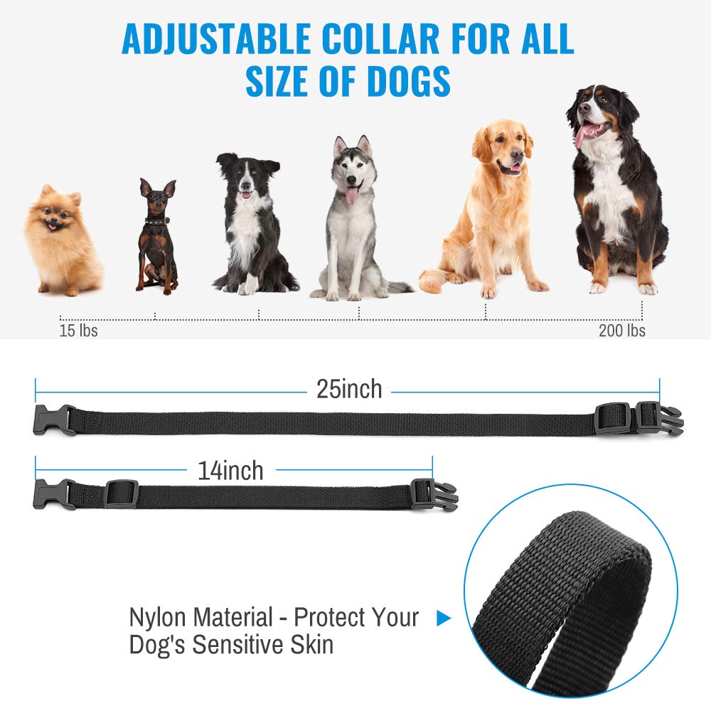 Petrainer PET998DRB1 comparaison de taille sur un chien illustrant ajustement de la sangle