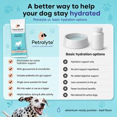 Petralyte sachet à côté d'une main pour visualiser taille pratique