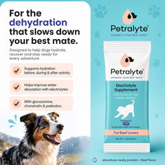 Petralyte versé dans gamelle extérieure montrant hydratation en sortie