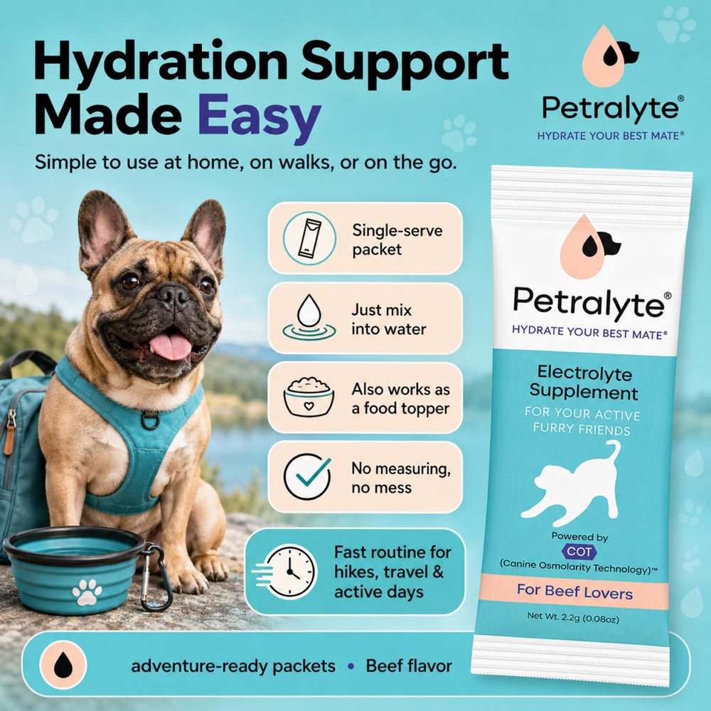 Petralyte poudre proche plan montrant texture fine et mélange rapide