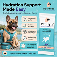 Petralyte poudre proche plan montrant texture fine et mélange rapide