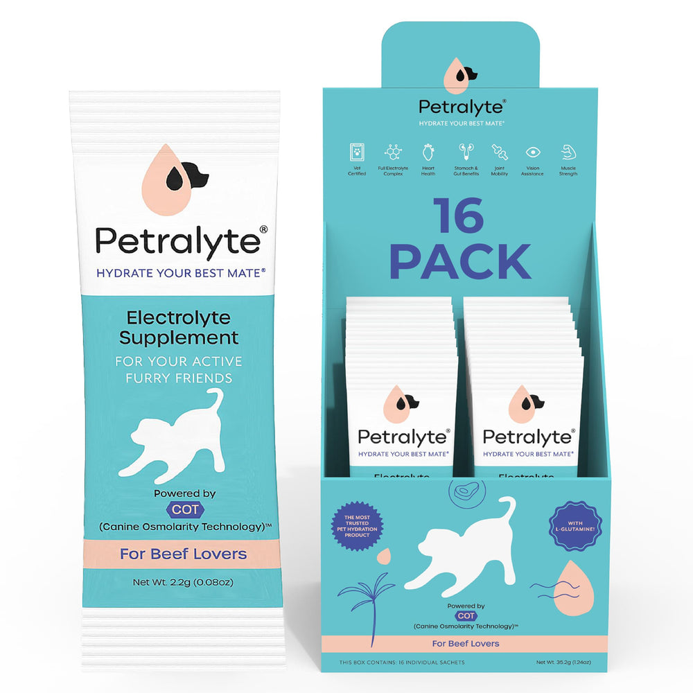 Petralyte sachet face montrant emballage et praticité pour promenades