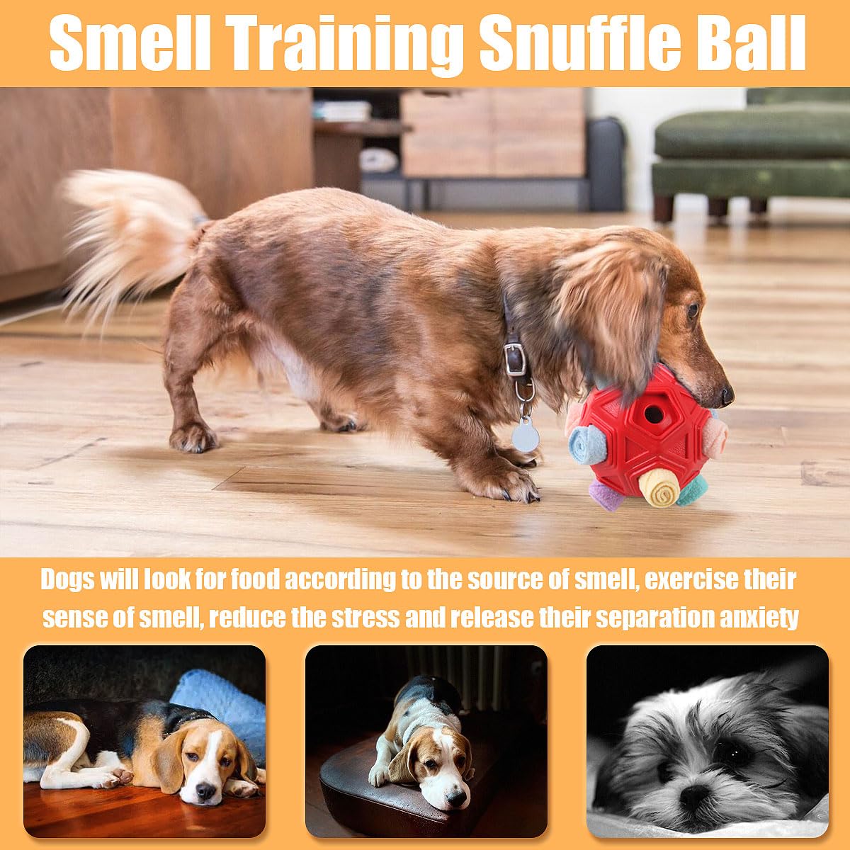 Petration snuffle ball chien en train de renifler stimulant l'odorat