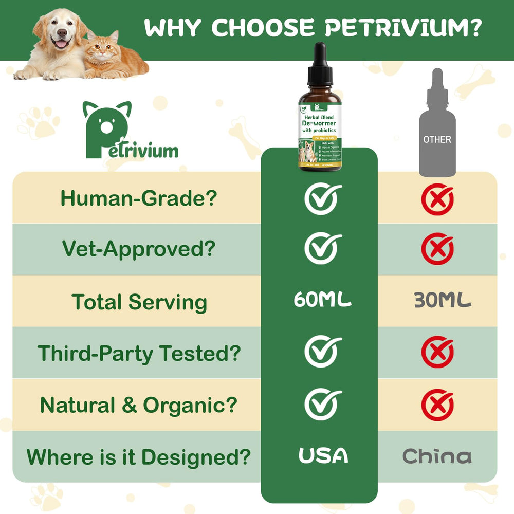 Chat buvant de l’eau aromatisée Petrivium, administration discrète et pratique