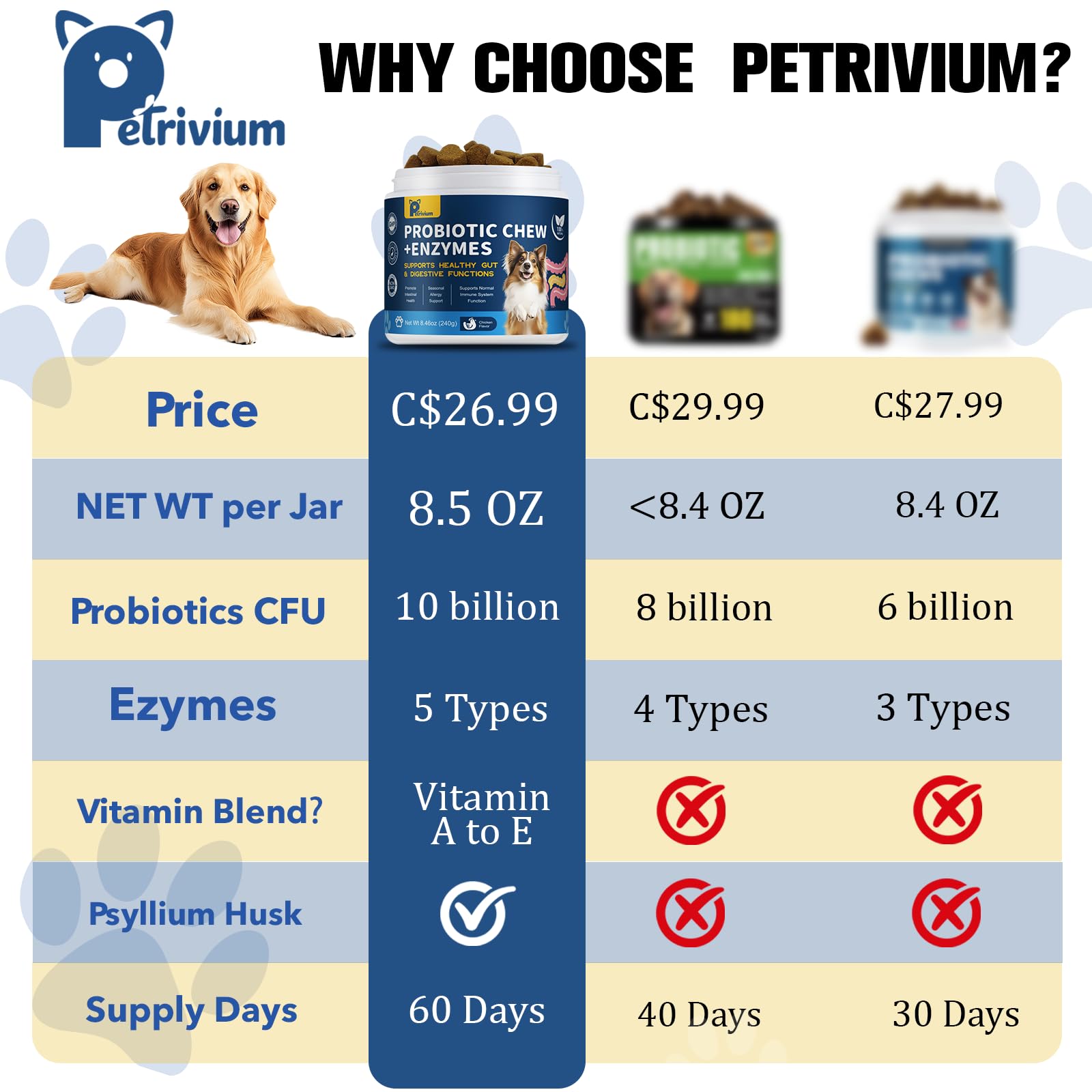 Petrivium chien en promenade après complément bénéfice bien-être digestif