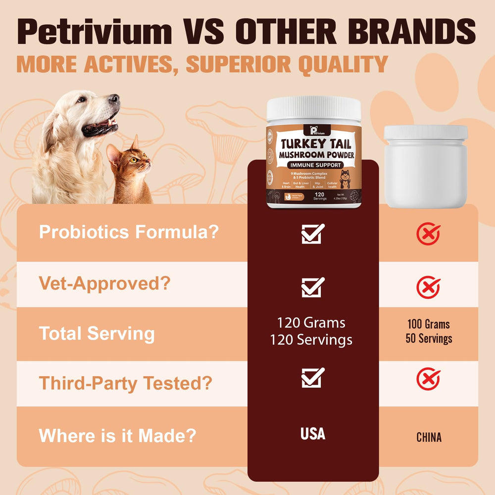 Petrivium cuillère doseuse à côté d'une gamelle pour contrôle portion
