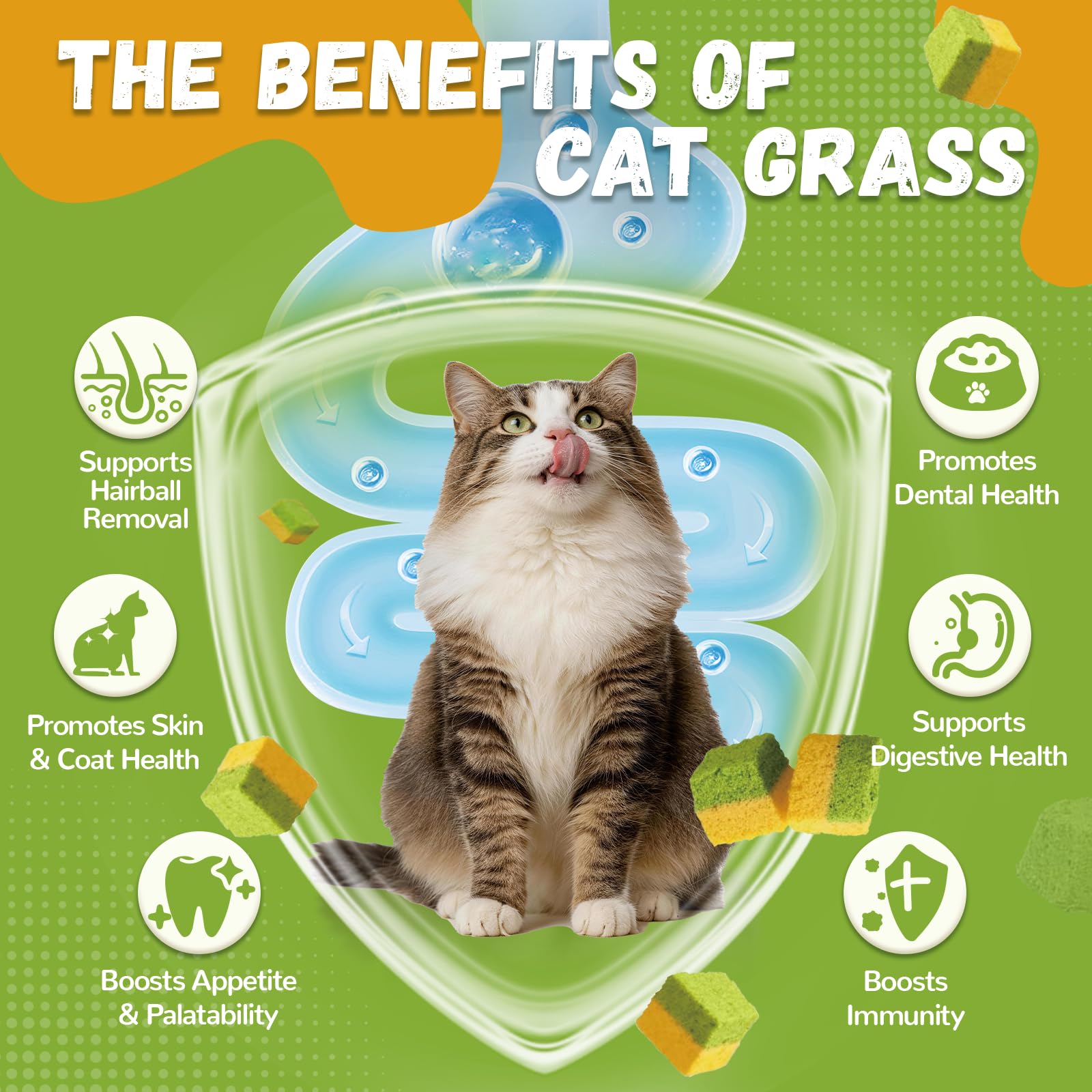 Petrivium gros plan texture croustillante, saveur attrayante pour chat