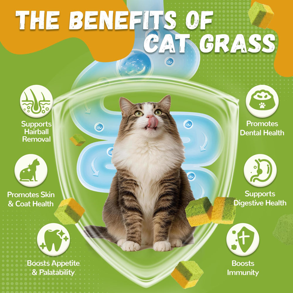 Petrivium gros plan texture croustillante, saveur attrayante pour chat