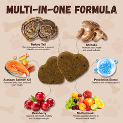 Petrivium tableau des ingrédients et probiotiques pour soutien intestinal