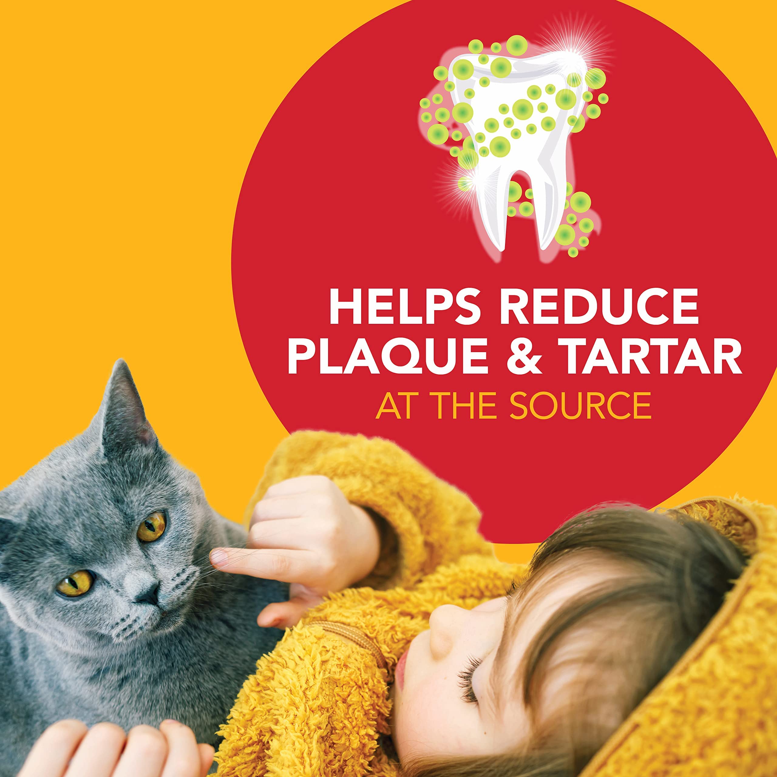 Petrodex brosse double gros plan sur têtes pour nettoyage ciblé