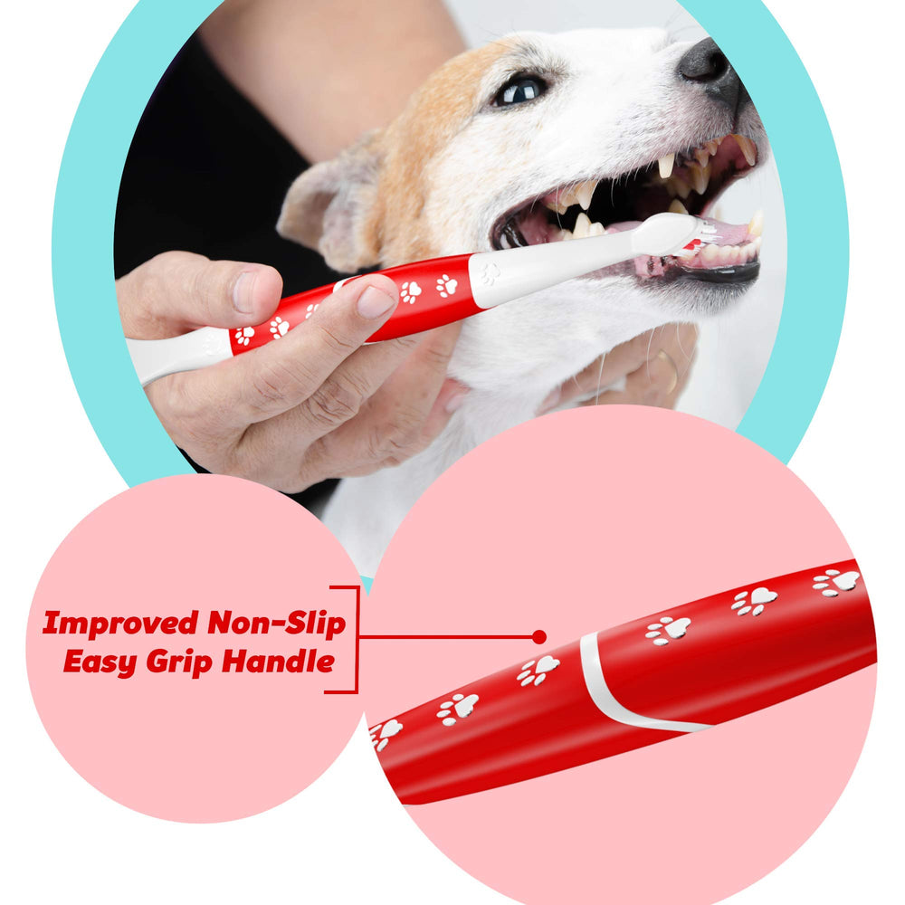 Pets & Pupps comparaison d'échelle montrant taille pour animaux moyens/grands