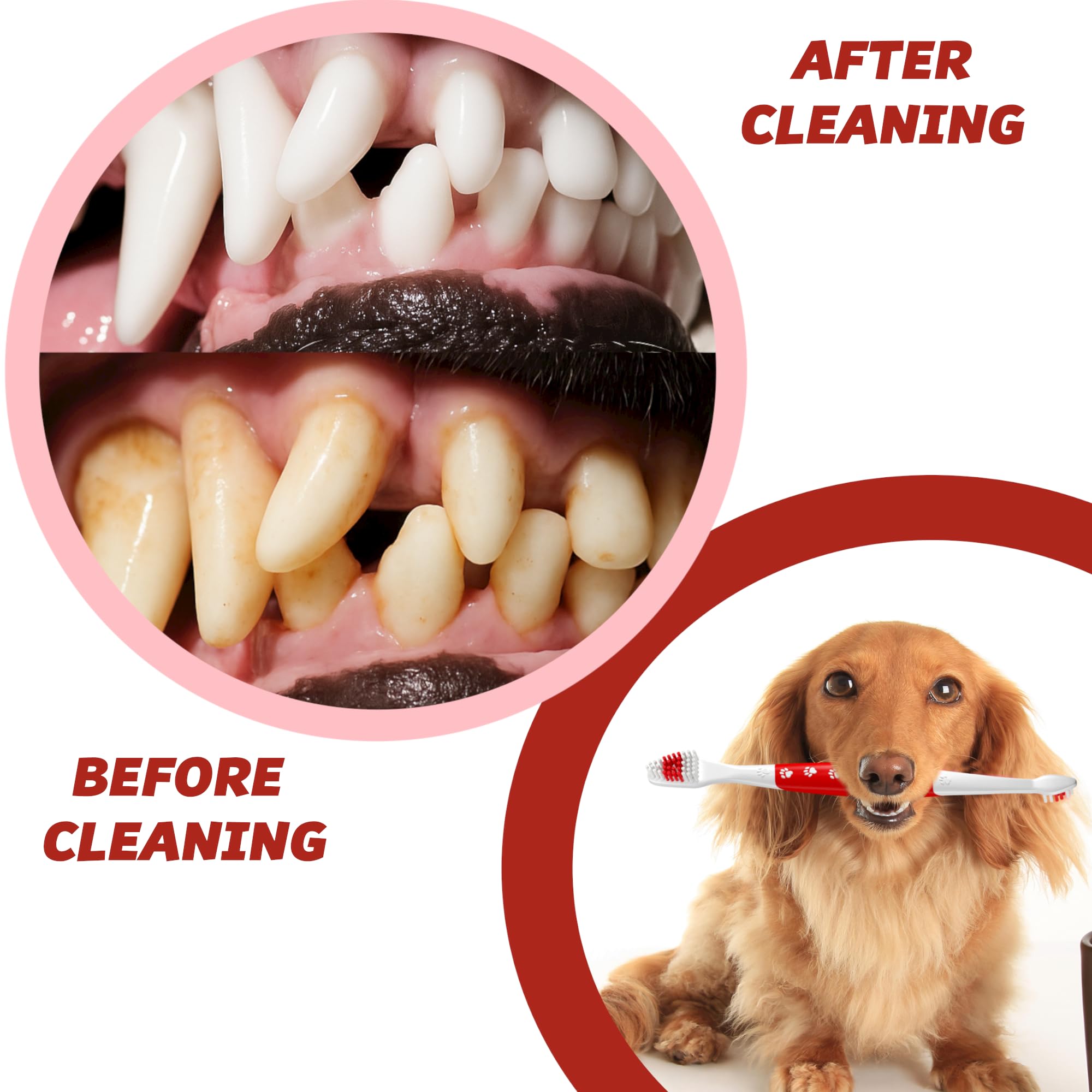 Pets & Pupps brosse utilisée dans cadre domestique, routine facilitée