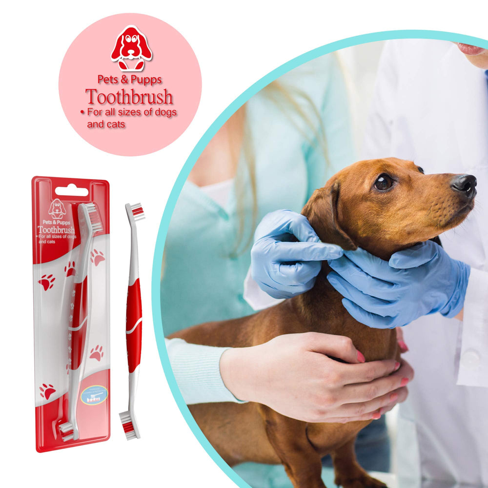 Pets & Pupps brosse rose présentée en contexte lifestyle montrant confort