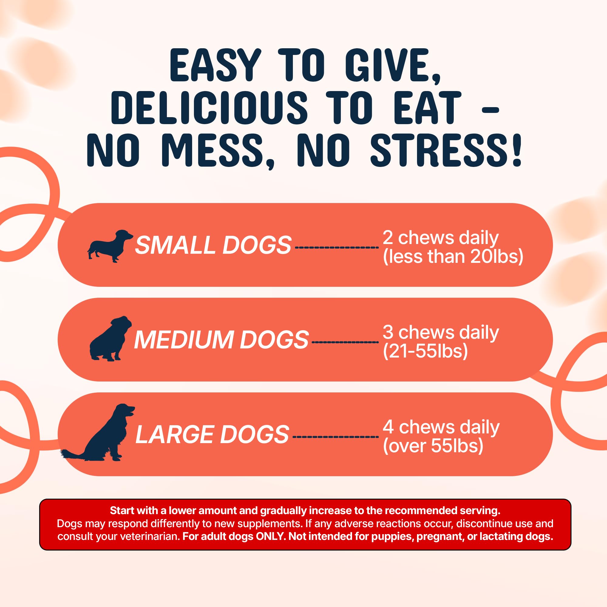 Pets Are Kids Too chiot mangeant la friandise pour soutien digestion et apprentissage