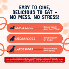 Pets Are Kids Too chiot mangeant la friandise pour soutien digestion et apprentissage