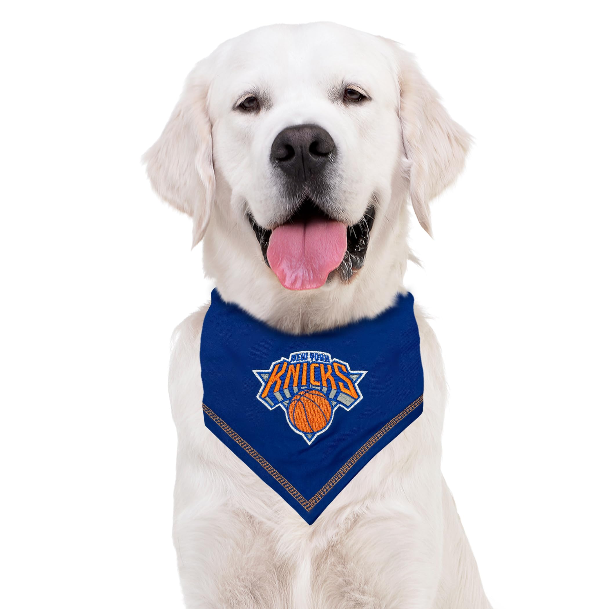 Pets First bandana sur chat, style et confort pour photos souvenirs